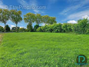 Terrain à SAINT-BENIGNE