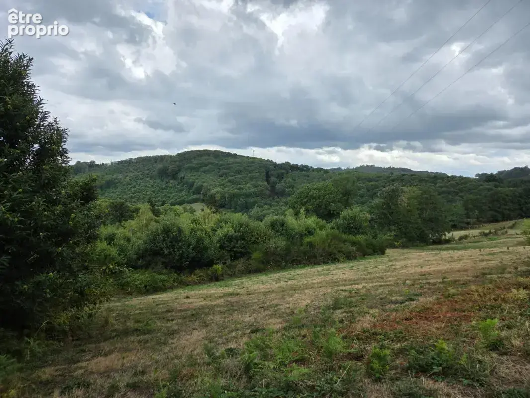 Maison 6 pces, 80 m² avec dépendances, source, terrain de 59 635 m² - photo 19