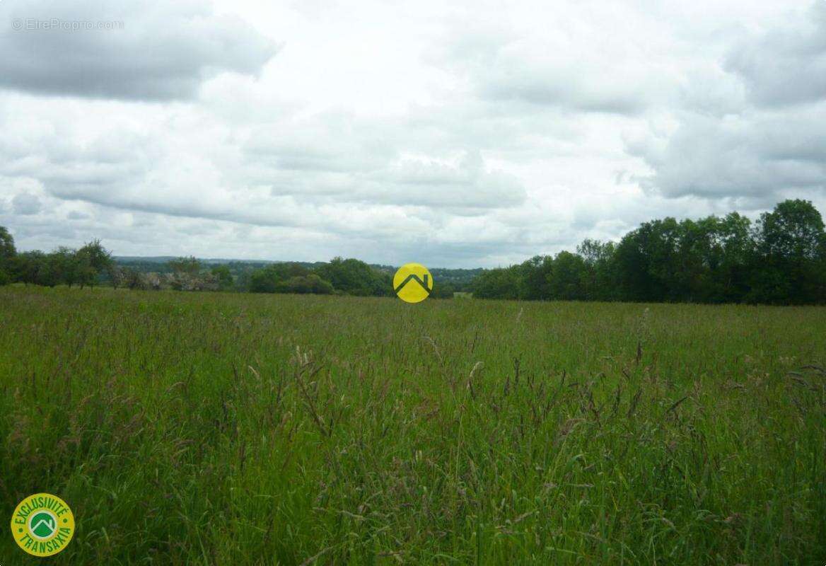 Terrain à DUN-LE-PALESTEL