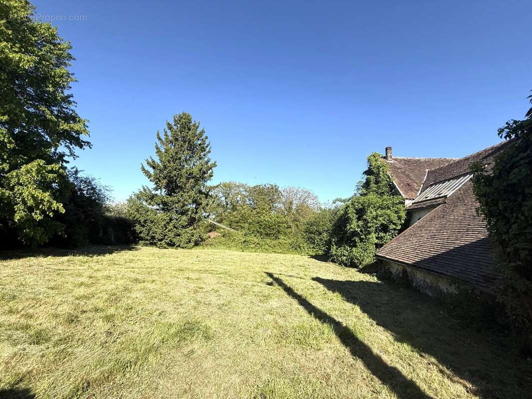 Maison à THORIGNY-SUR-OREUSE