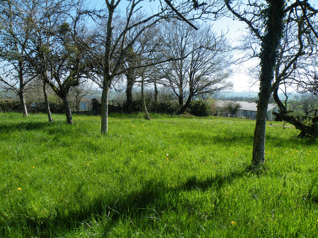 Terrain à MOYRAZES