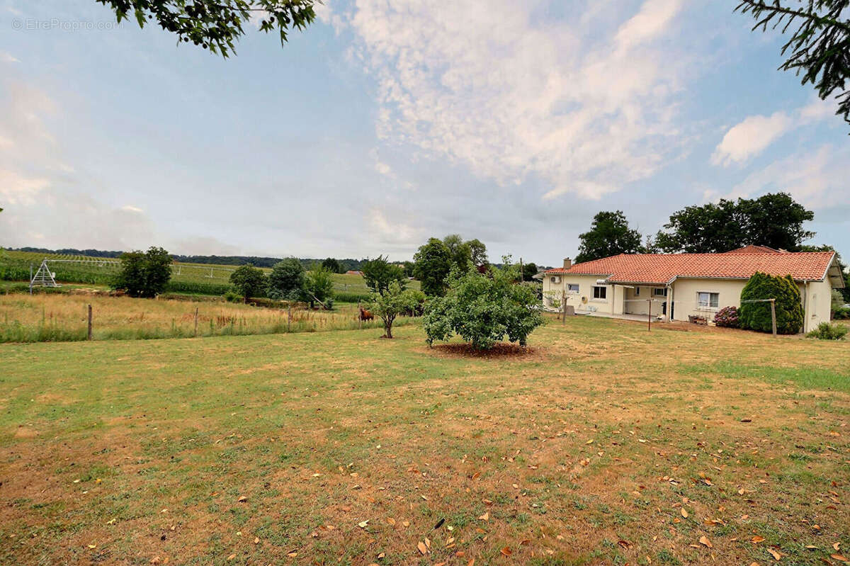 MONTSOUÉ ? Maison familiale de plain-pied avec 5 chambres et terrain d'environ 4 300 m² - photo 2