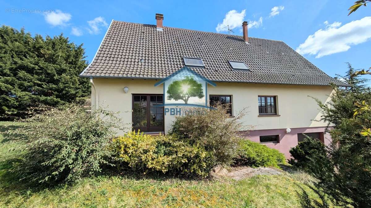 Maison à INGWILLER