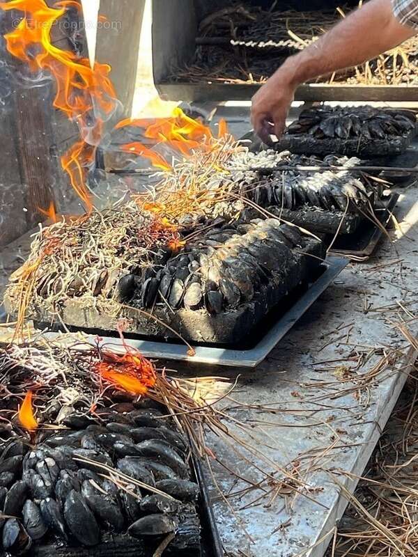 Commerce à DOLUS-D'OLERON