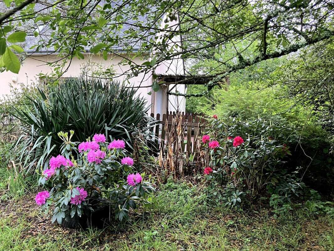 Photo 3 - Maison à PLOUAY