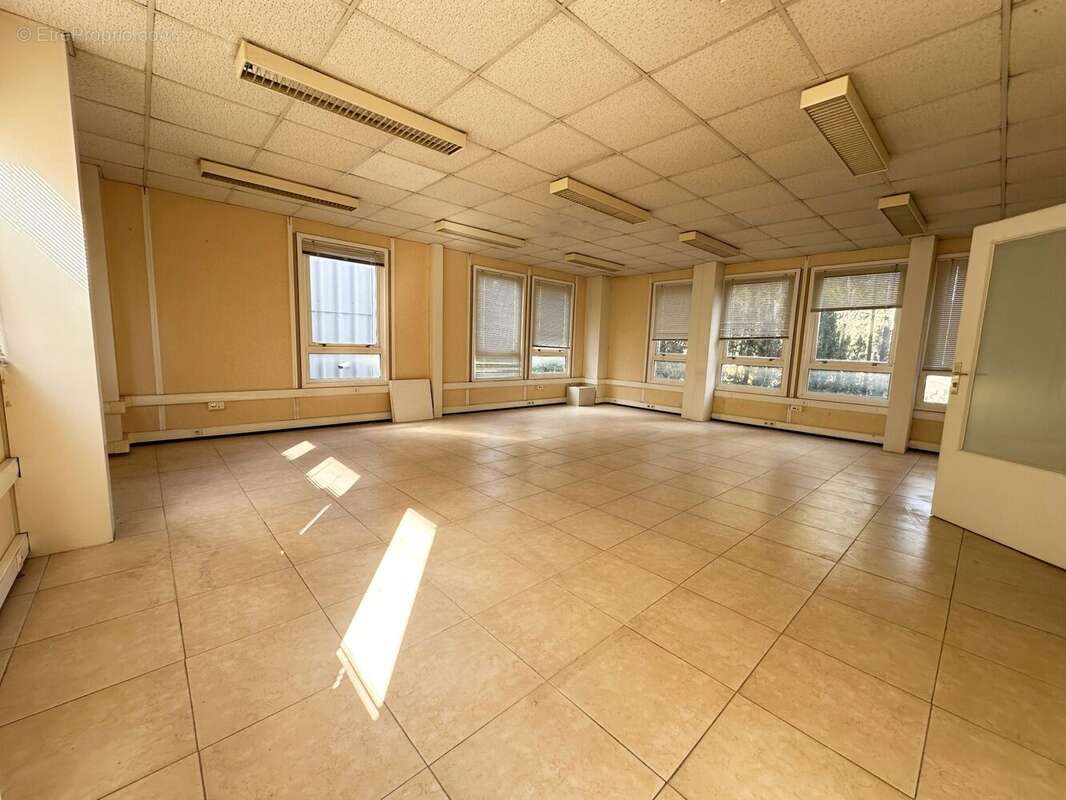 Commerce à LE CANNET