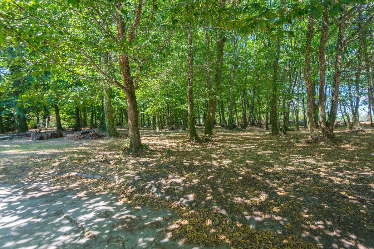 Maison 225 m2 - parc de 8100 m2 - bel environnement - photo 5