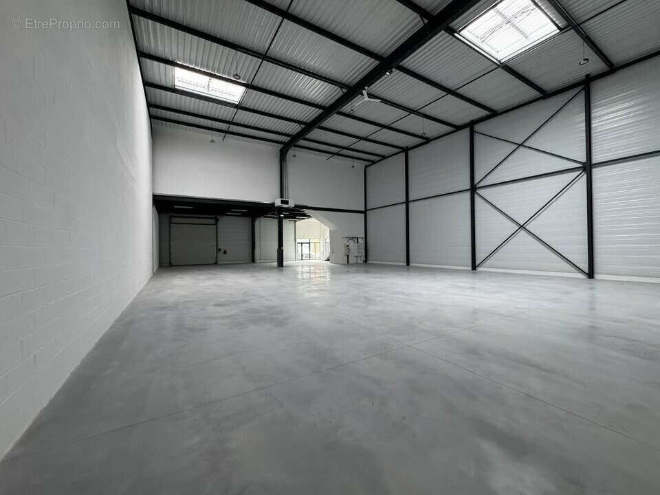 806 m² à Gretz-Armainvilliers  - photo 3