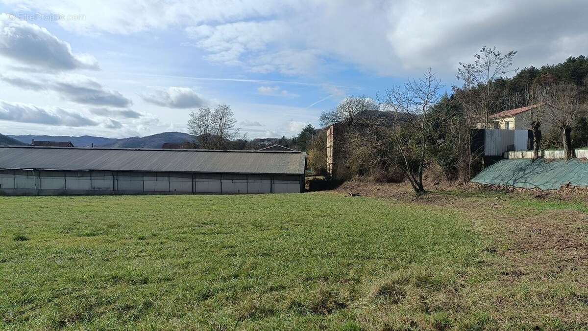 Bâtiment agricole plus terrain constructible - photo 5