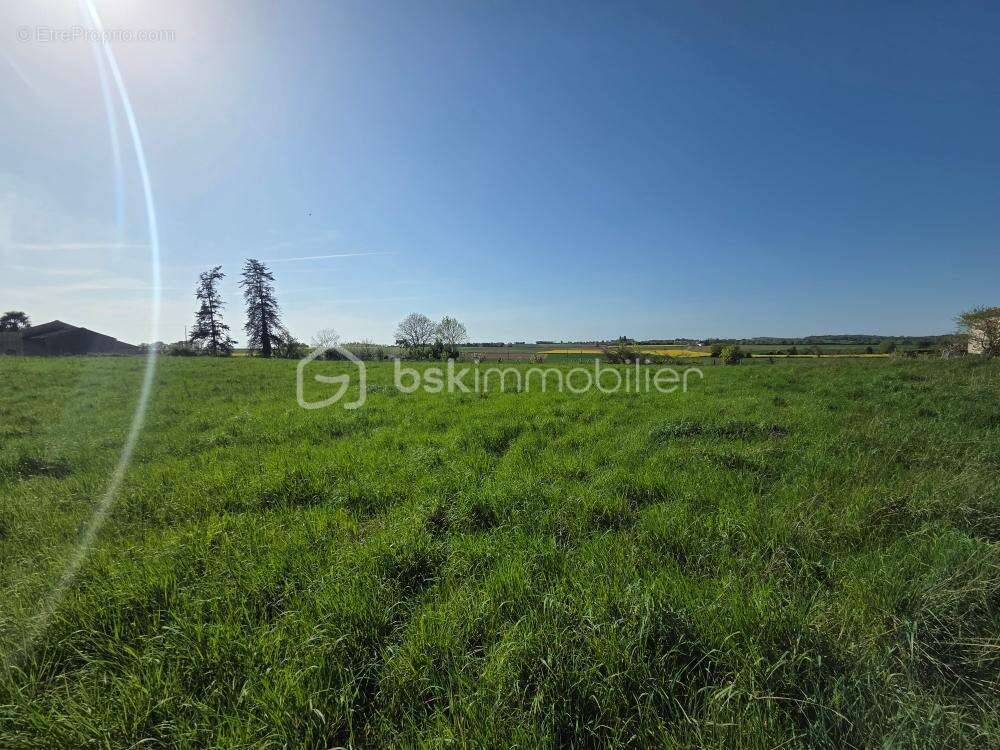 Terrain 1150m2 - photo 4
