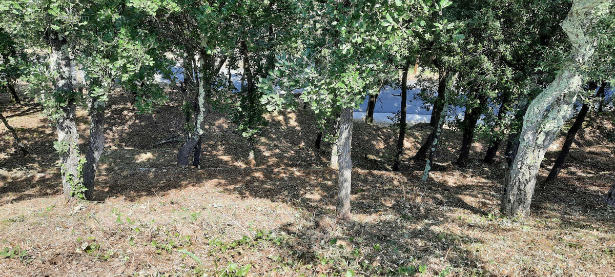 Maison indépendante de plain-pied, calme,  nature, vue dégagée, piscine, garage - photo 11