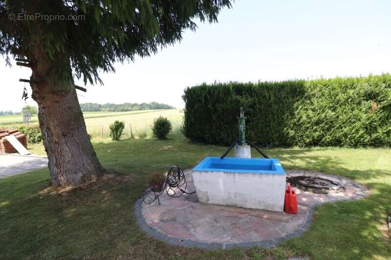 Au milieu des champs - photo 21