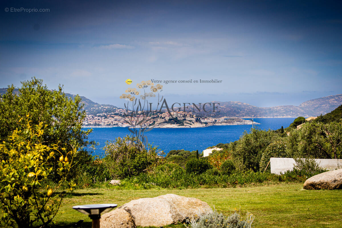 Villa contemporaine - lumio - photo 2