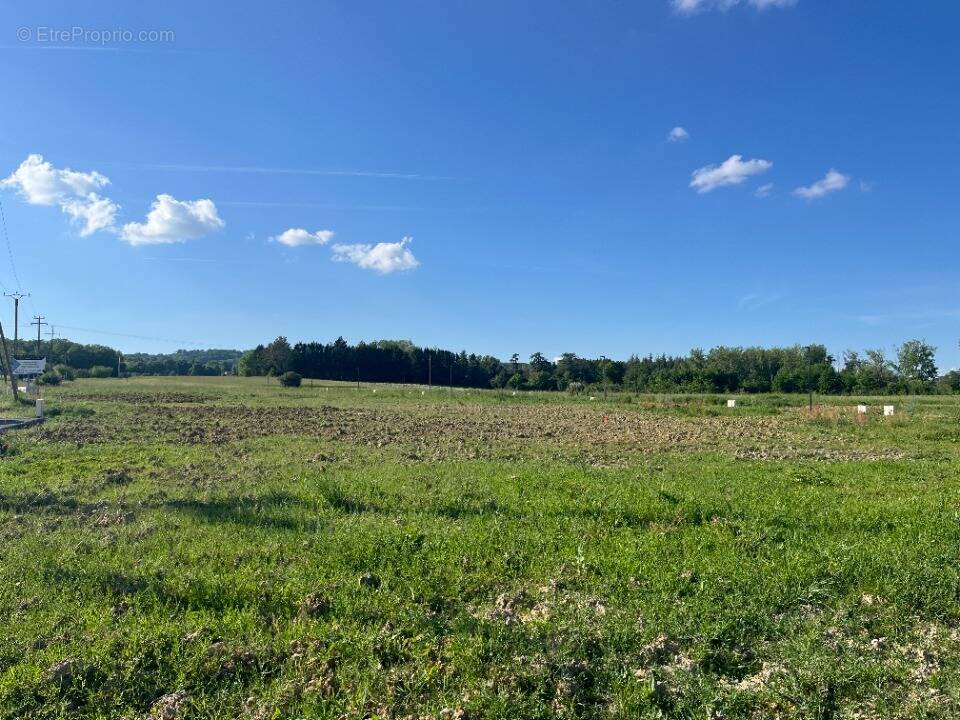 Terrain à BUSQUE
