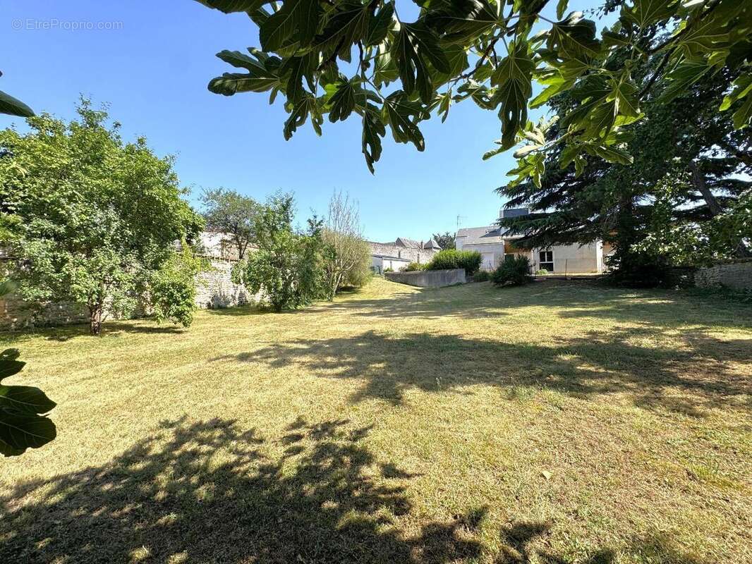   - Terrain à THOUARS