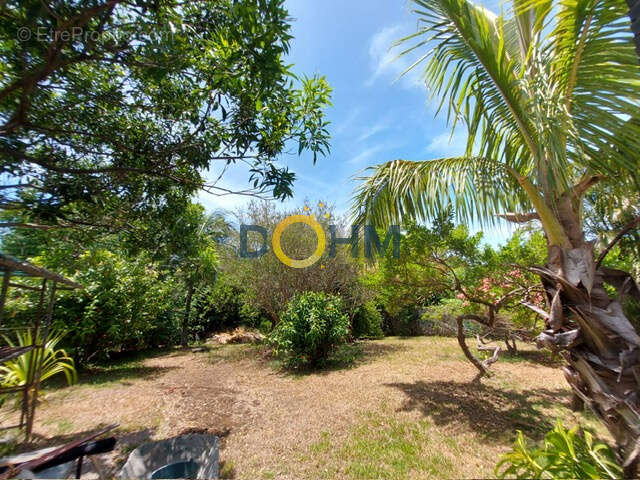 Maison à SAINT-JOSEPH