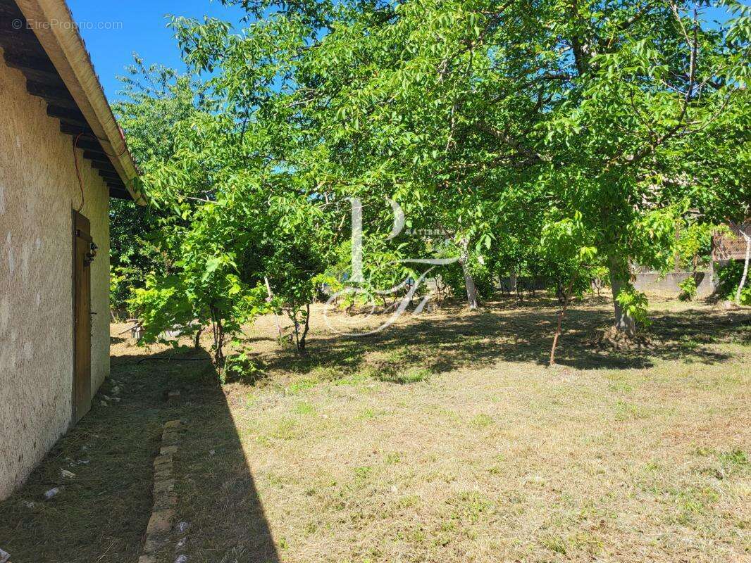 Terrain 592 m² à Carmaux  - photo 4