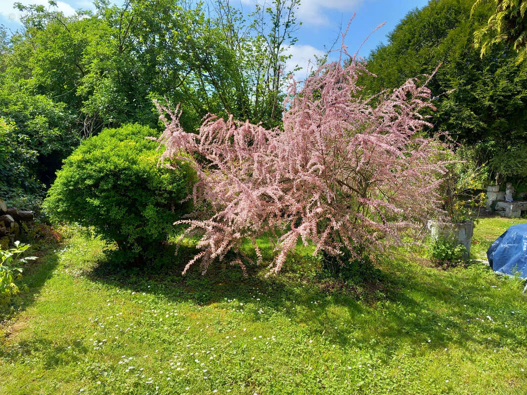 Élégante bâtisse du XVIIe siècle avec parc arboré et grottes troglodytiques   Proche de Doué-la-Fontaine - photo 13