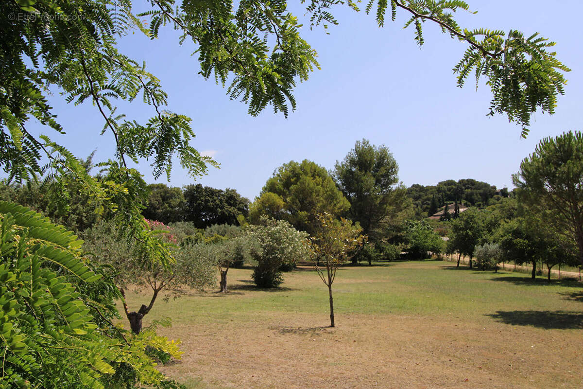 Maison à LAGARDE-PAREOL
