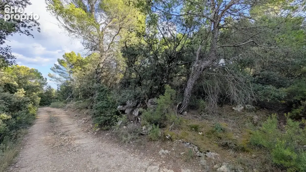 SALERNES : Terrain non constructible 20.618m² - photo 5