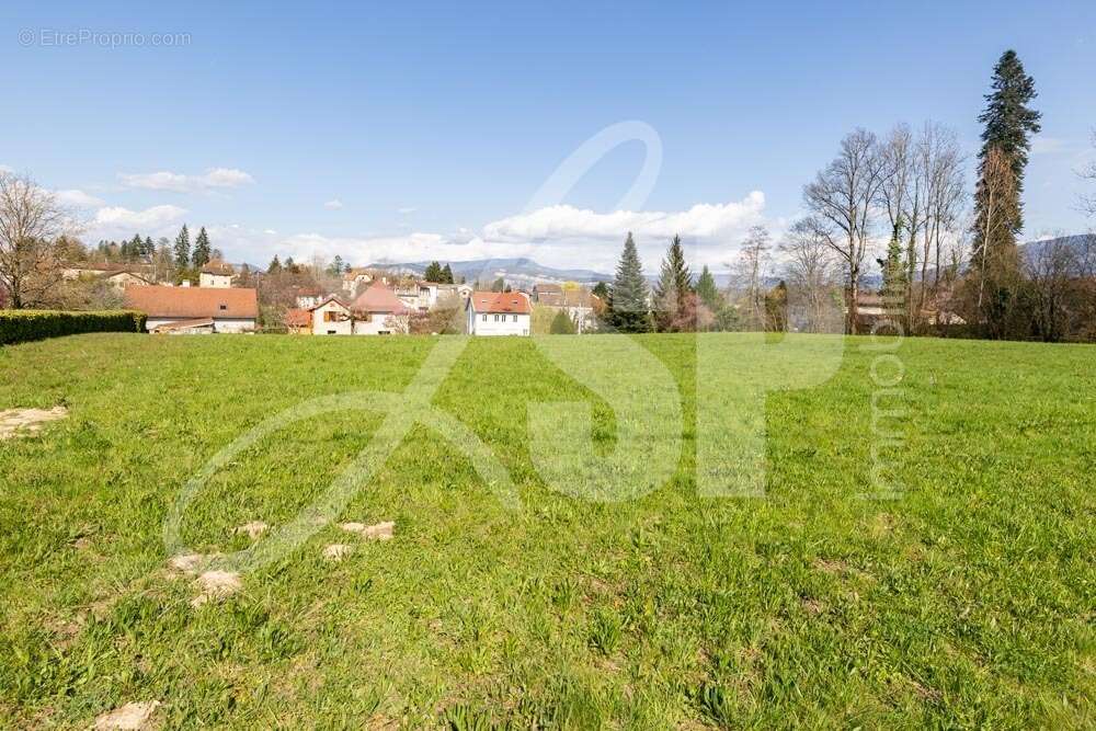 Terrain viabilisé (Lot 6) - Terrain à SAINT-JEAN-D'AVELANNE