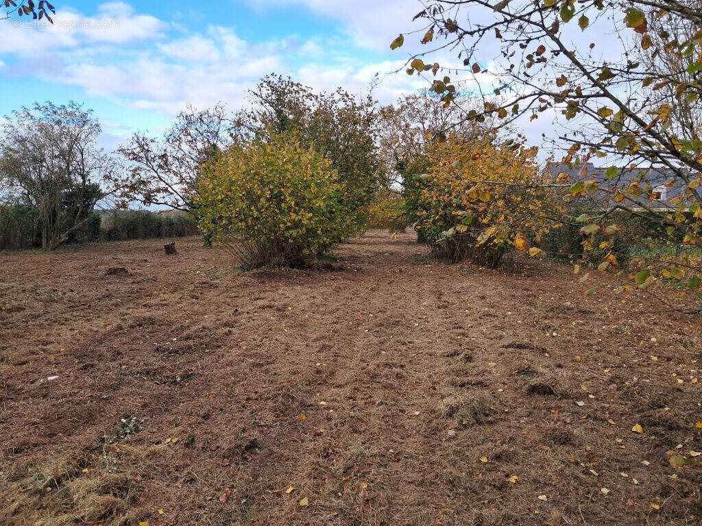 Terrain à AZAY-SUR-CHER