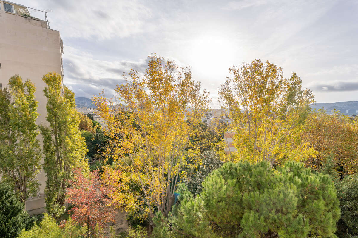 Appartement à MARSEILLE-8E