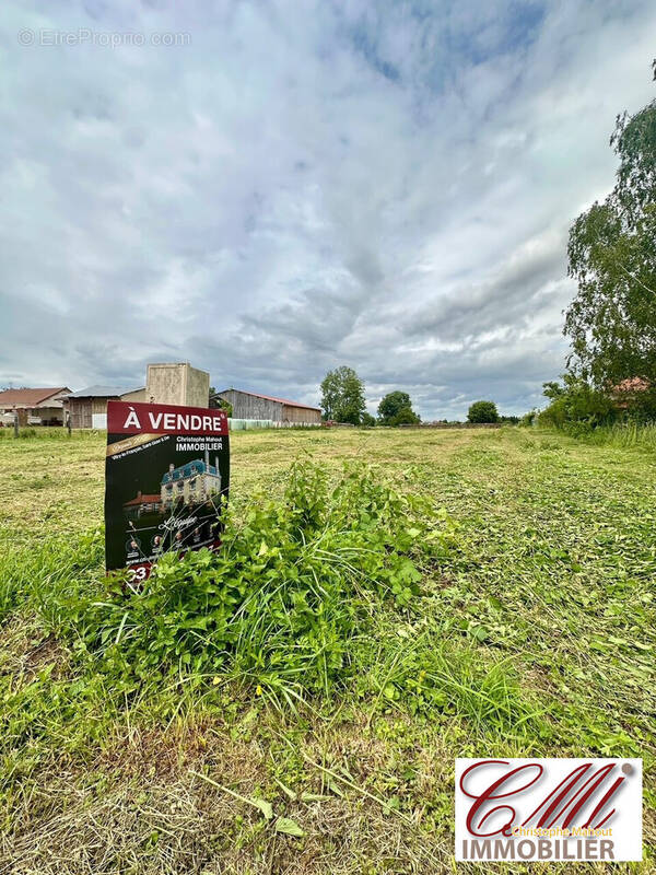 Terrain à SAINT-REMY-EN-BOUZEMONT-SAINT-GENEST-ET-ISSON