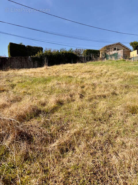 Terrain à L'ARBRESLE