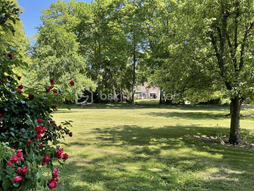 A Vendre / Propriété bucolique à Germigny L'évêque 263 m2 - photo 2