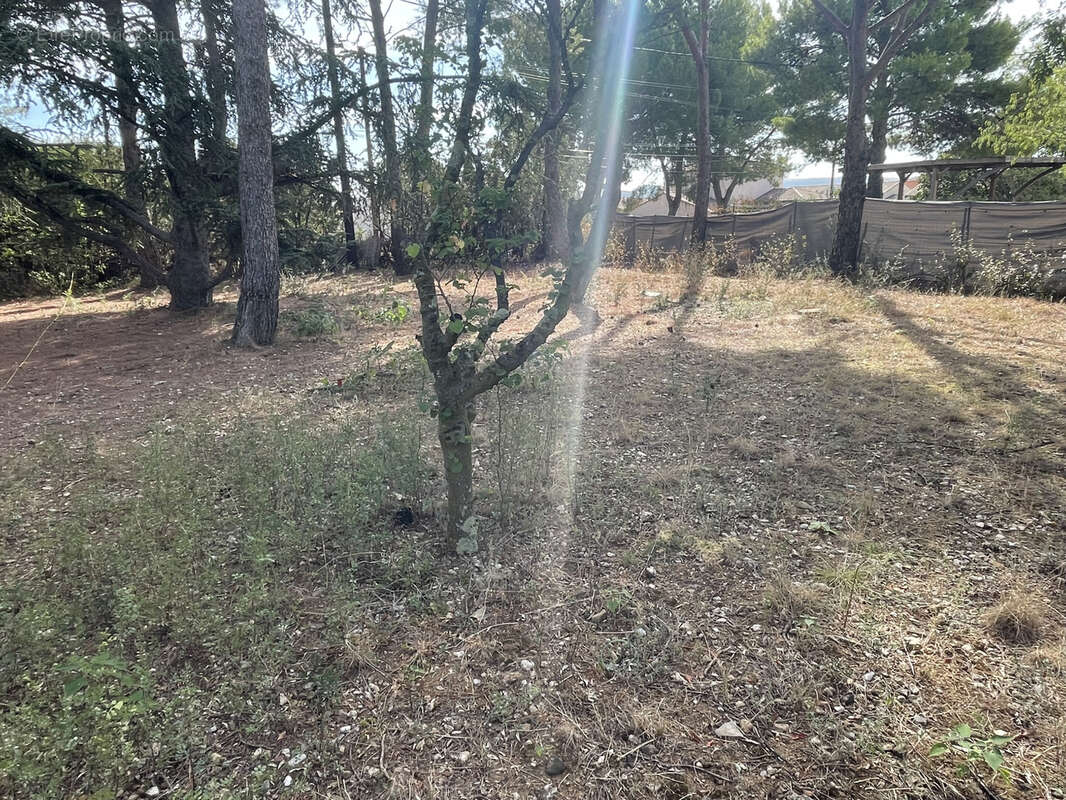 Terrain à SAINT-JEAN-DE-FOS