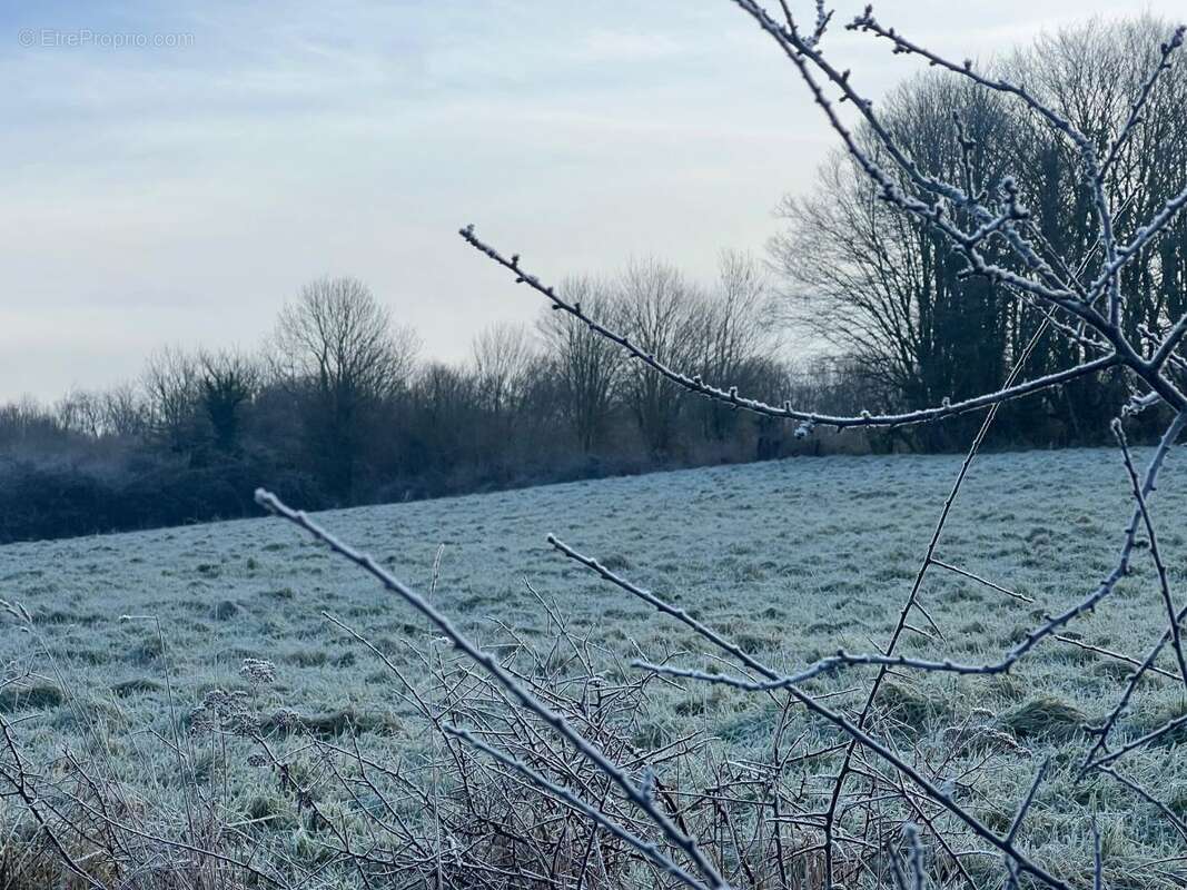 Terrain à VIMOUTIERS