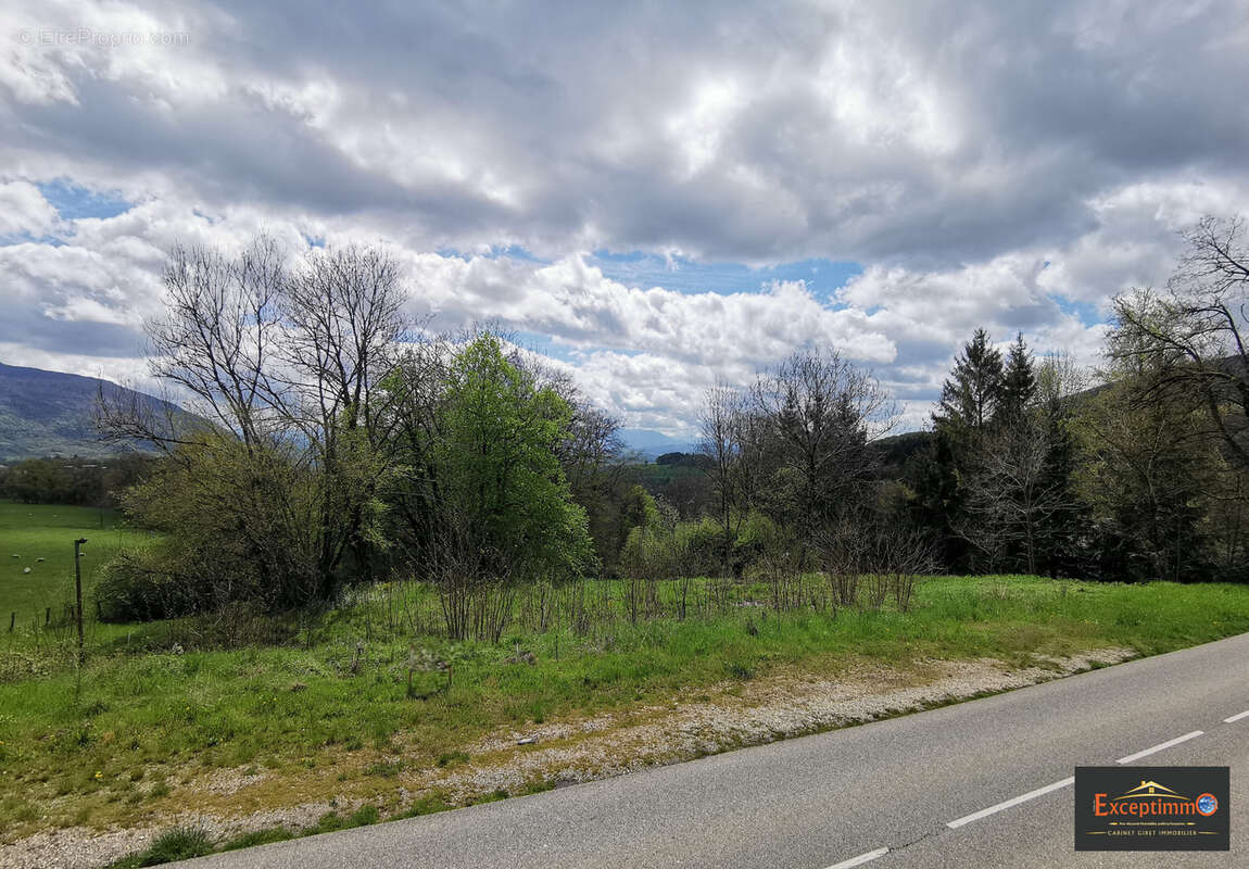 Terrain à BELMONT-LUTHEZIEU