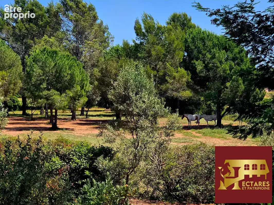 Propriété de caractère à Roquebrune sur Argens . Rare à la vente ! - photo 11