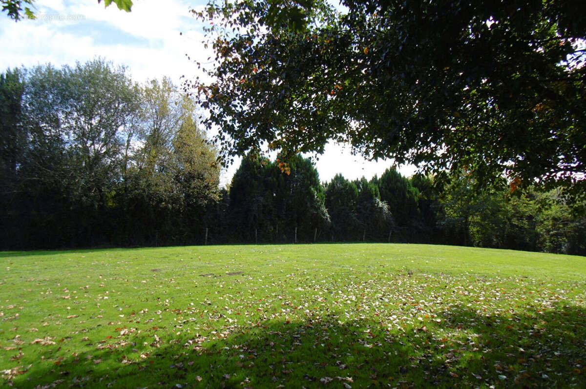 Maison à SAINT-JEAN-DE-MARSACQ