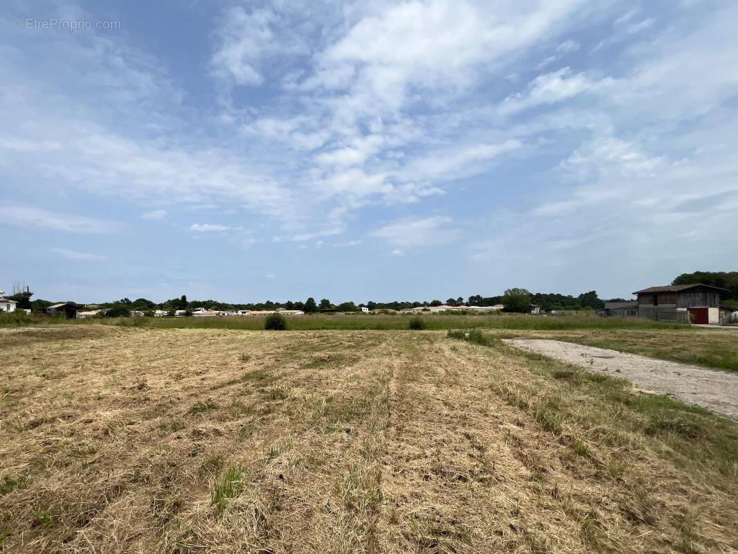 Terrain à MARTILLAC