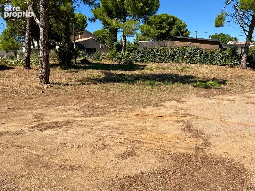 Vente grand terrain constructible à Marseillan - photo 4