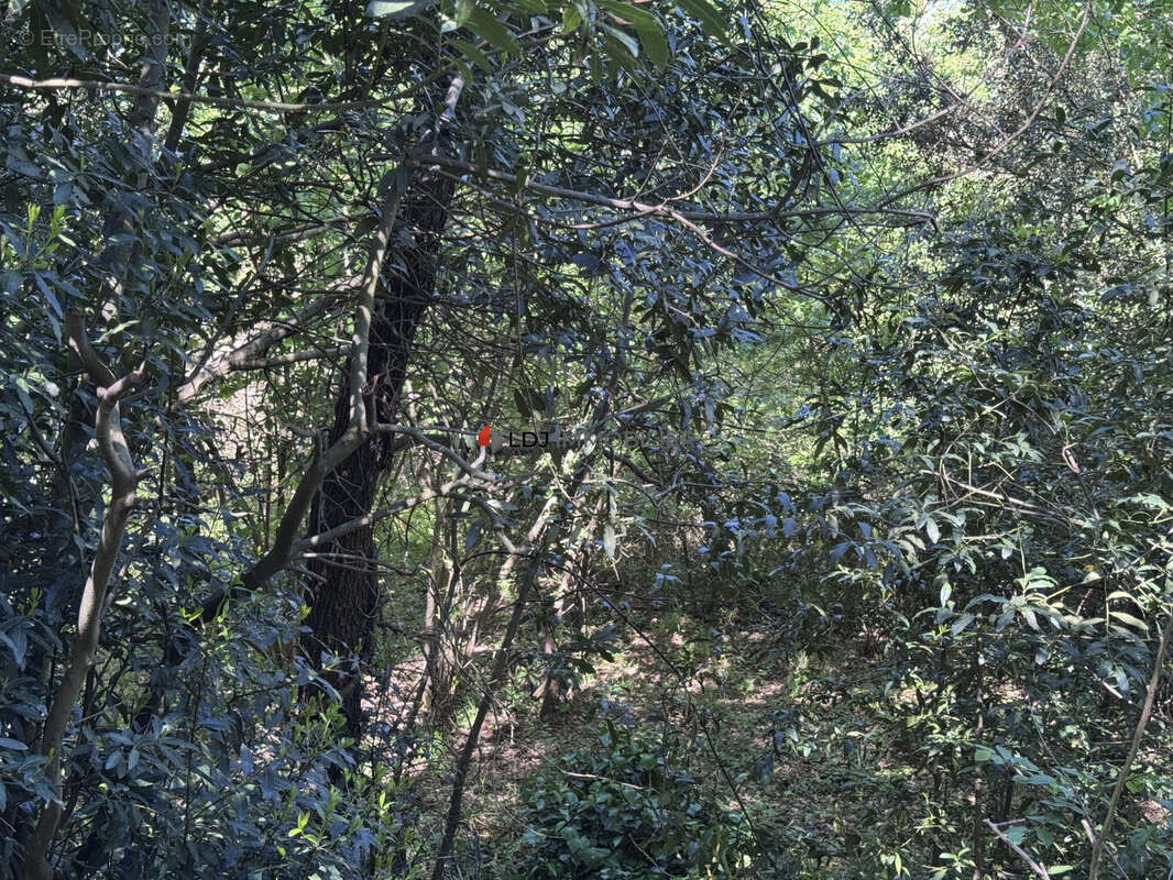 Terrain à PERPIGNAN