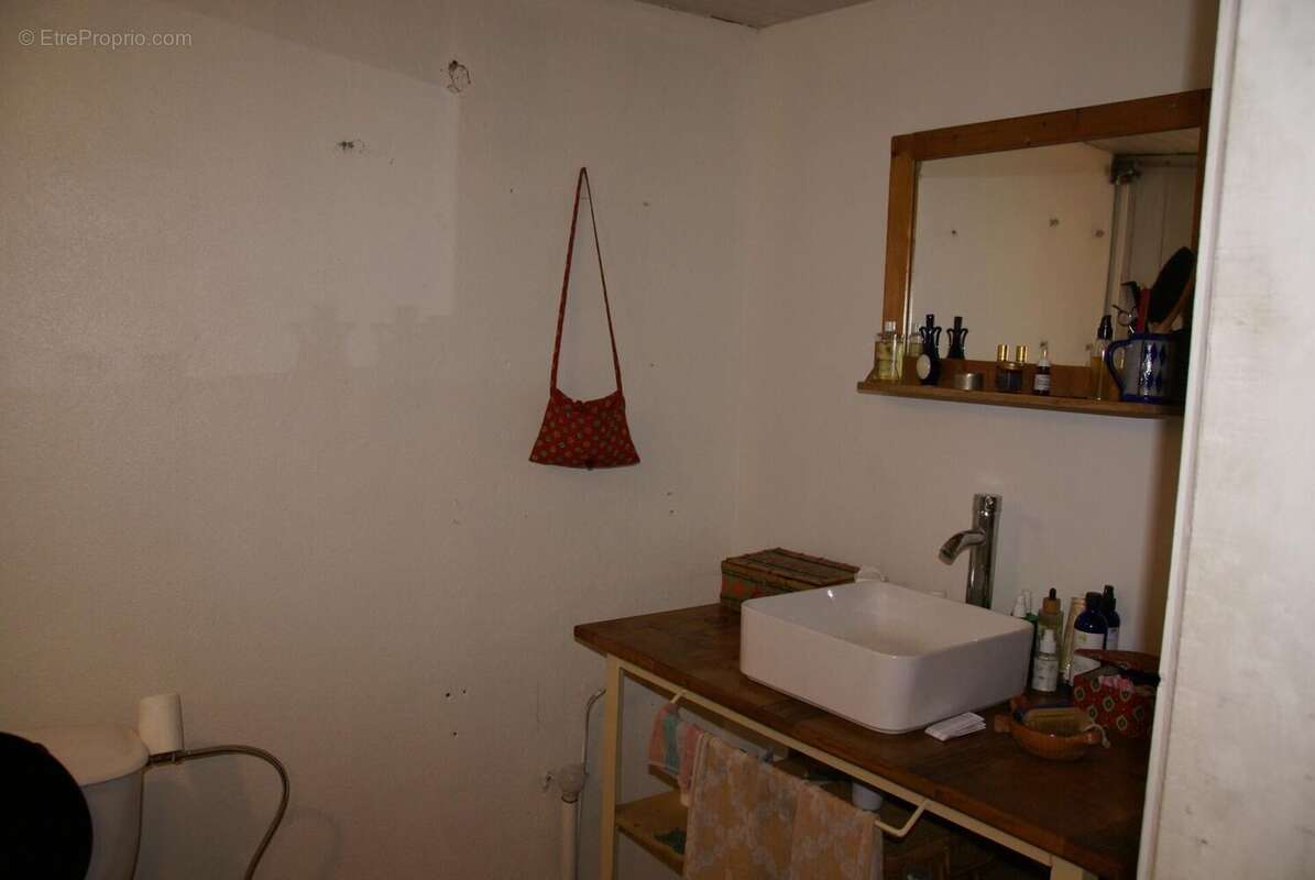 Photo 8 - Appartement à SAINT-AGREVE