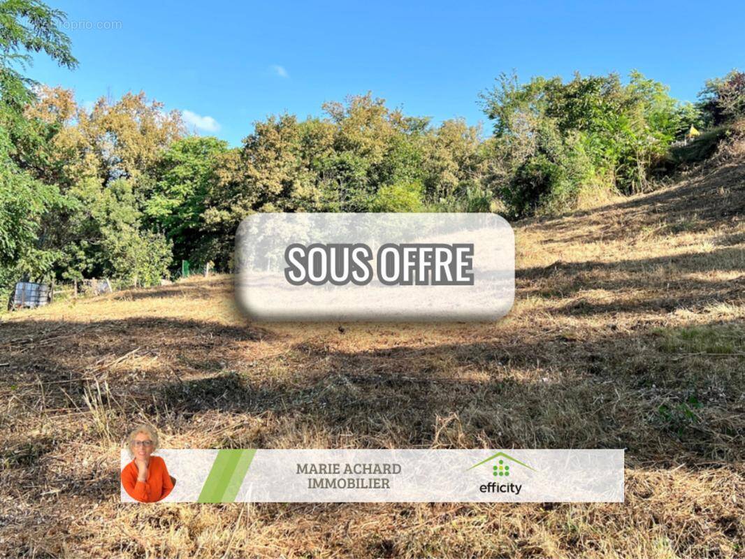 Terrain à SAINT-MARTIN-LA-PLAINE