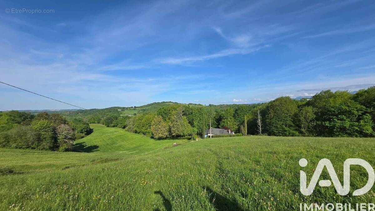 Photo 1 - Terrain à ESQUIULE