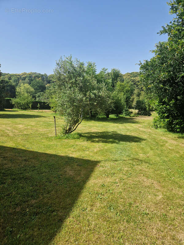 Maison contemporaine avec terrain excetionnel!! - photo 13