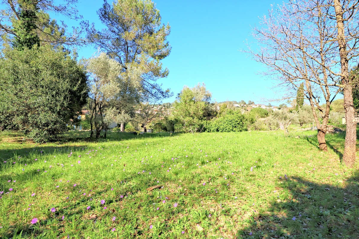 Terrain à SOLLIES-TOUCAS