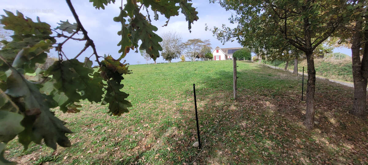 Maison à ARZACQ-ARRAZIGUET