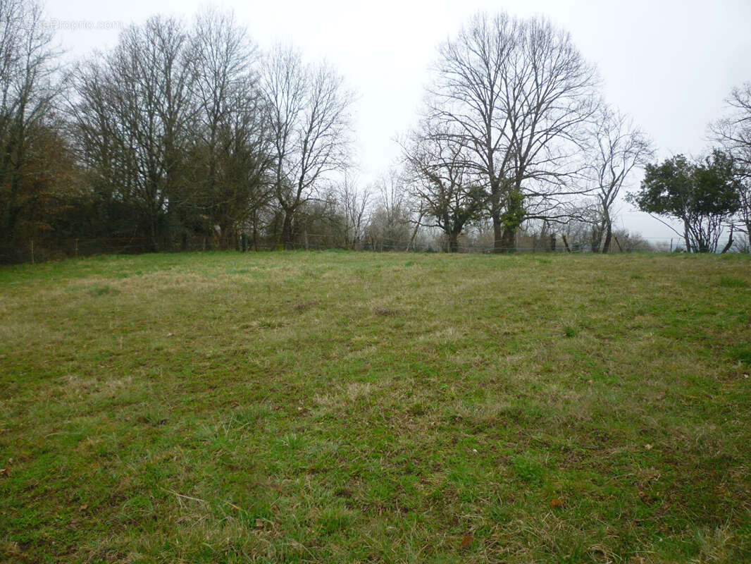 Terrain à CAPDENAC-GARE