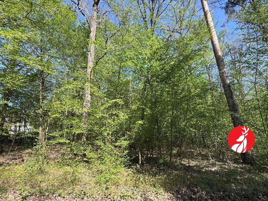 Terrain à NOISY-SUR-ECOLE