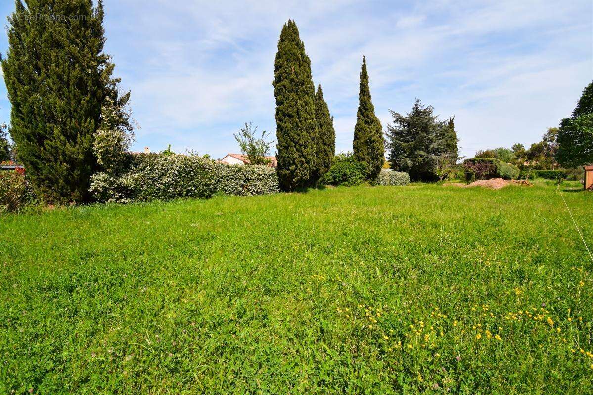 Terrain à SAINT-QUENTIN-LA-POTERIE