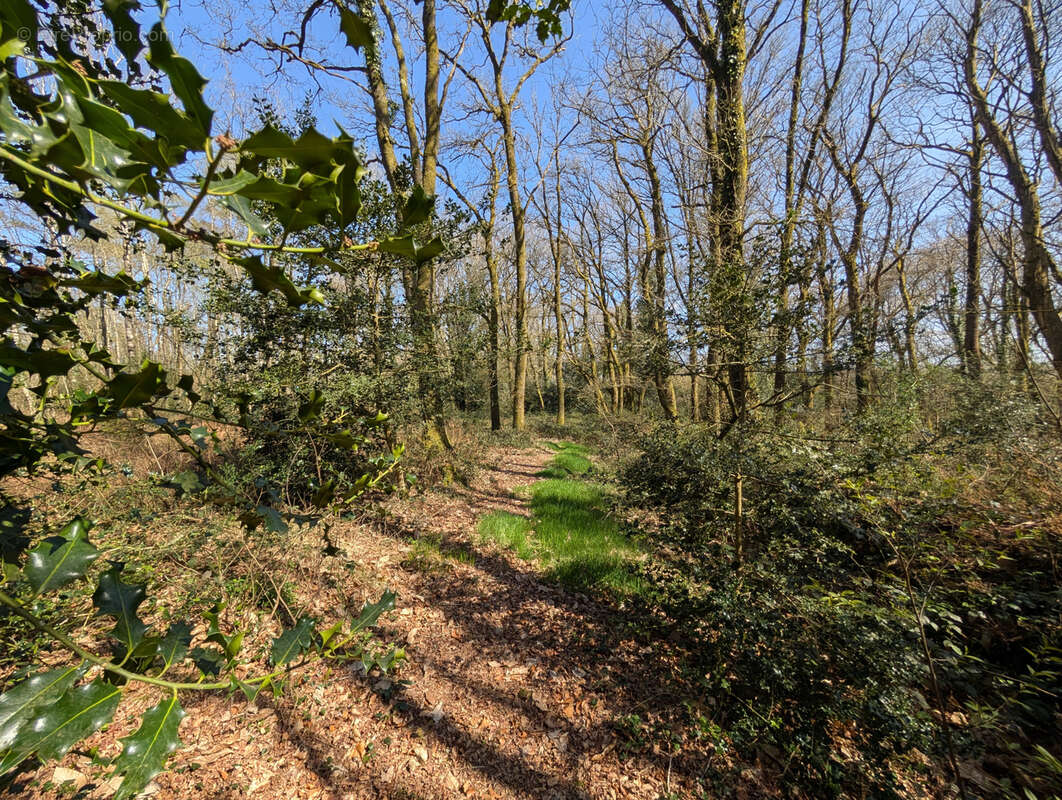Terrain à CAMPENEAC