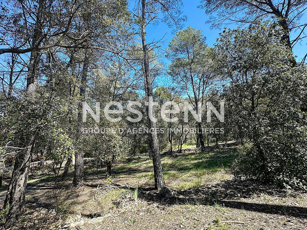 Terrain à LORGUES