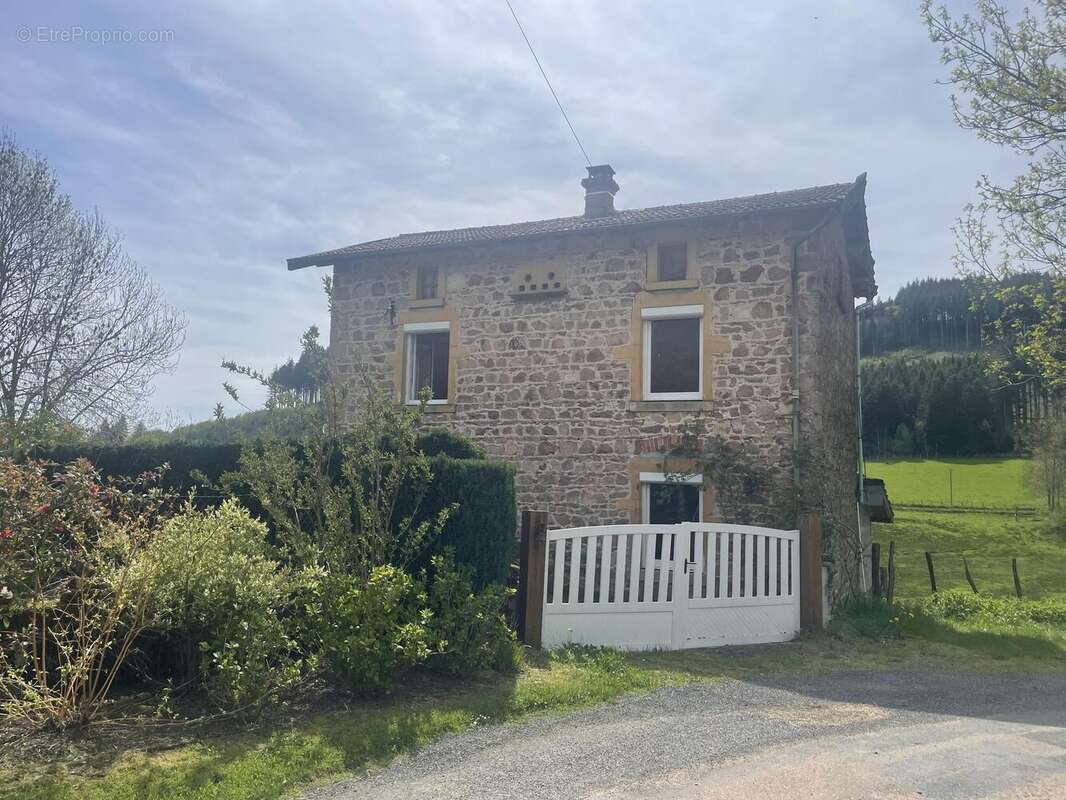 Photo 4 - Maison à THIZY